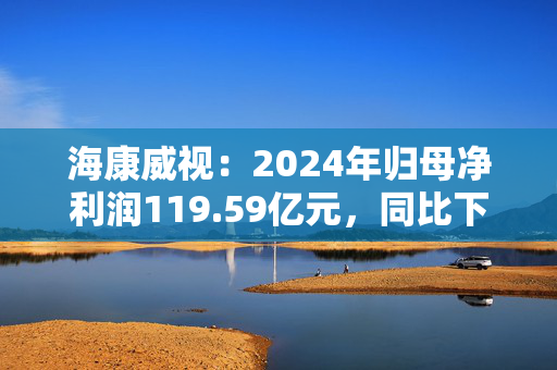 海康威视：2024年归母净利润119.59亿元，同比下降15.23%