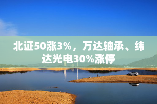 北证50涨3%，万达轴承、纬达光电30%涨停