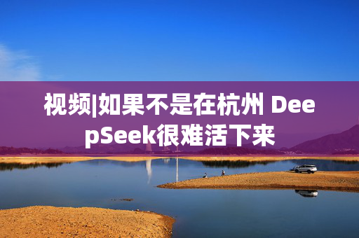 视频|如果不是在杭州 DeepSeek很难活下来