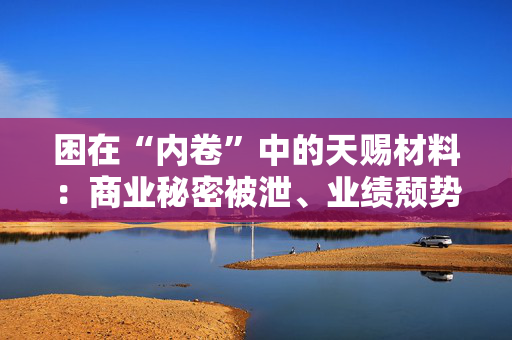 困在“内卷”中的天赐材料：商业秘密被泄、业绩颓势难改