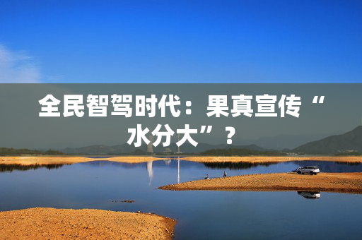 全民智驾时代：果真宣传“水分大”？