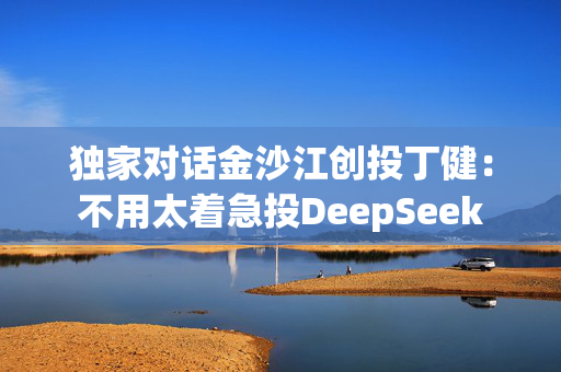 独家对话金沙江创投丁健：不用太着急投DeepSeek