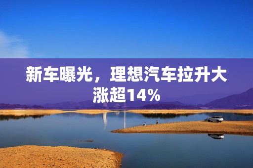 新车曝光，理想汽车拉升大涨超14%