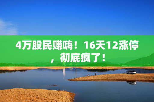 4万股民赚嗨！16天12涨停，彻底疯了！