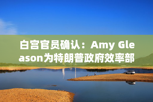 白宫官员确认：Amy Gleason为特朗普政府效率部的代理主管