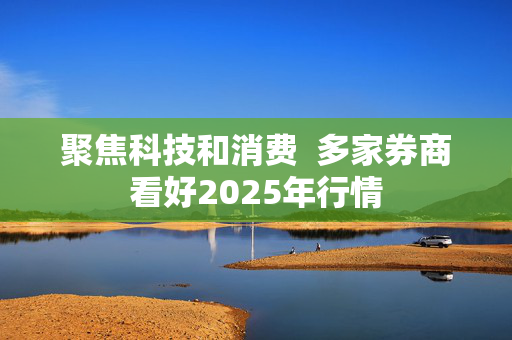 聚焦科技和消费  多家券商看好2025年行情