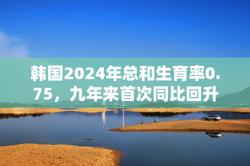 韩国2024年总和生育率0.75，九年来首次同比回升