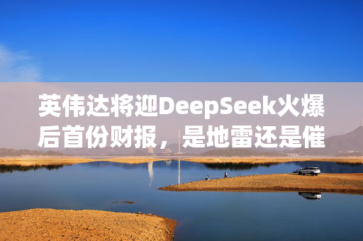 英伟达将迎DeepSeek火爆后首份财报，是地雷还是催化剂？