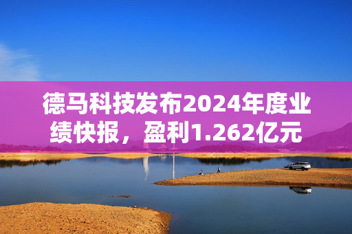 德马科技发布2024年度业绩快报，盈利1.262亿元