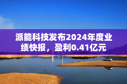 派能科技发布2024年度业绩快报，盈利0.41亿元