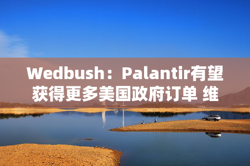 Wedbush：Palantir有望获得更多美国政府订单 维持“跑赢大盘”评级