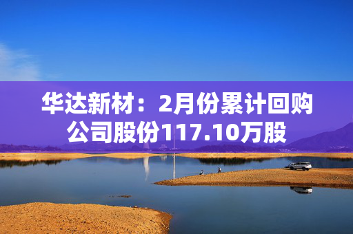 华达新材：2月份累计回购公司股份117.10万股