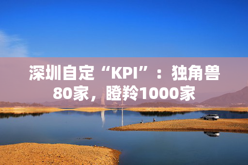 深圳自定“KPI”：独角兽80家，瞪羚1000家