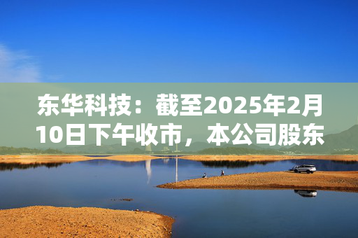 东华科技：截至2025年2月10日下午收市，本公司股东人数约为2.78万