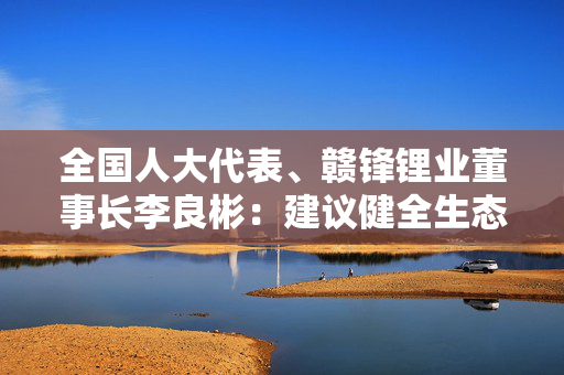 全国人大代表、赣锋锂业董事长李良彬：建议健全生态环境分区管控制度体系