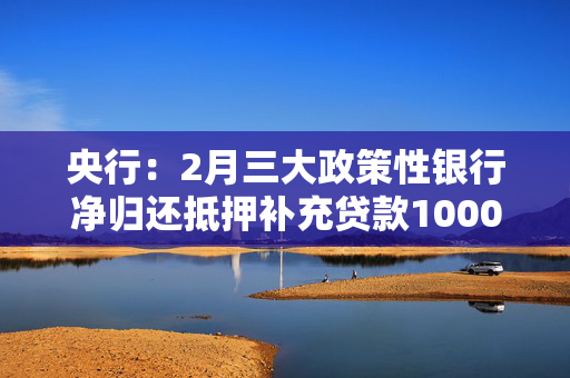 央行：2月三大政策性银行净归还抵押补充贷款1000亿元