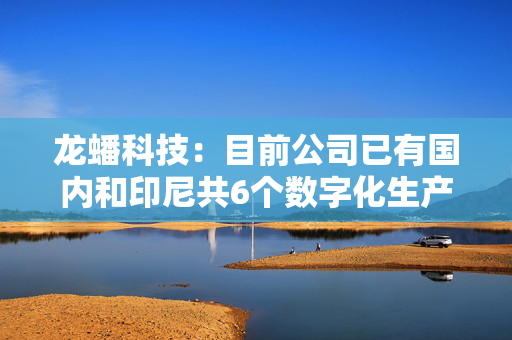 龙蟠科技：目前公司已有国内和印尼共6个数字化生产基地，总建成产能约27万吨