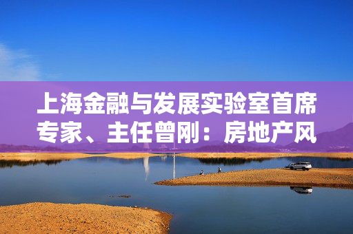 上海金融与发展实验室首席专家、主任曾刚：房地产风险化解是最突出的任务