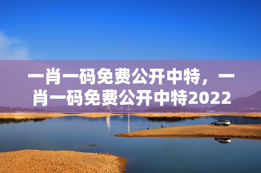 一肖一码免费公开中特，一肖一码免费公开中特2022年36期开奖结果：最经典的诗意解释落实版权853.ISO.020