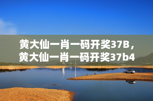 黄大仙一肖一码开奖37B，黄大仙一肖一码开奖37b427777：广泛的解释落实版权2222.ISO.365