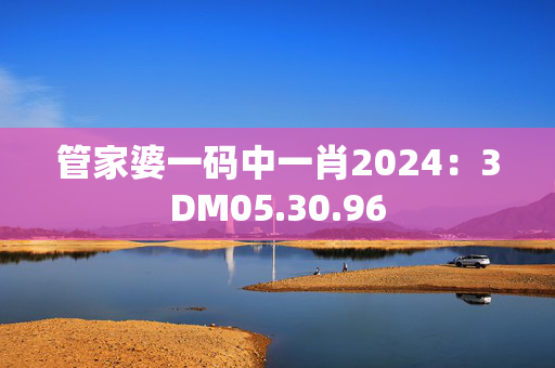 管家婆一码中一肖2024：3DM05.30.96