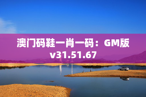 澳门码鞋一肖一码：GM版v31.51.67