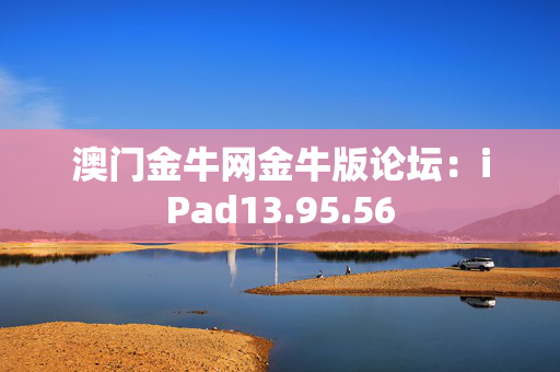 澳门金牛网金牛版论坛：iPad13.95.56