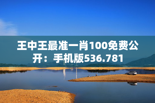 王中王最准一肖100免费公开：手机版536.781