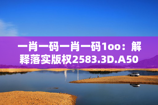 一肖一码一肖一码1oo：解释落实版权2583.3D.A501