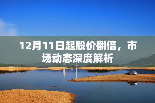 12月11日起股价翻倍，市场动态深度解析