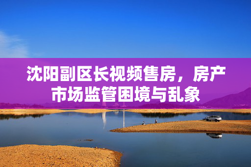 沈阳副区长视频售房，房产市场监管困境与乱象