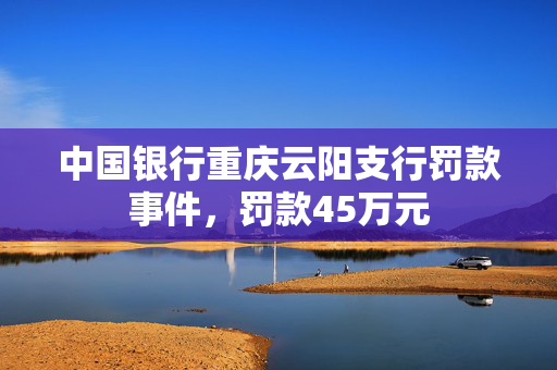 中国银行重庆云阳支行罚款事件，罚款45万元