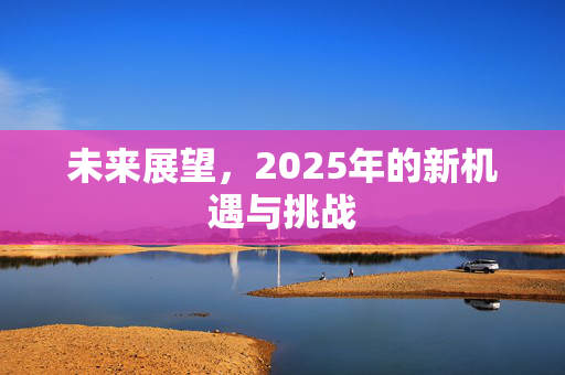 未来展望，2025年的新机遇与挑战