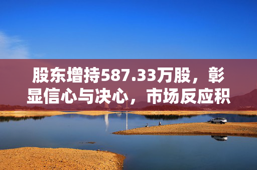 股东增持587.33万股，彰显信心与决心，市场反应积极