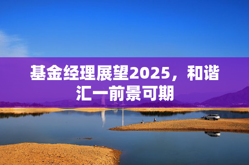 基金经理展望2025，和谐汇一前景可期