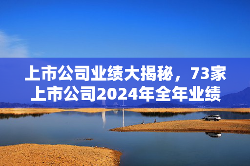 上市公司业绩大揭秘，73家上市公司2024年全年业绩预告