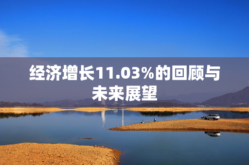 经济增长11.03%的回顾与未来展望