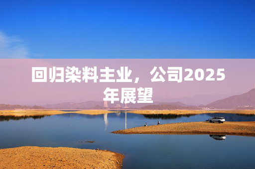 回归染料主业，公司2025年展望