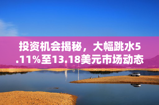 投资机会揭秘，大幅跳水5.11%至13.18美元市场动态