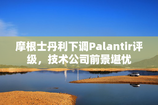 摩根士丹利下调Palantir评级，技术公司前景堪忧