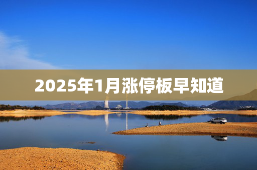 2025年1月涨停板早知道