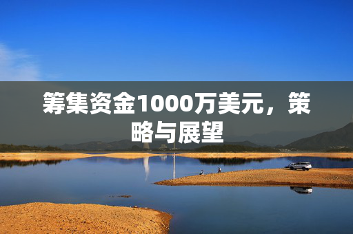 筹集资金1000万美元，策略与展望