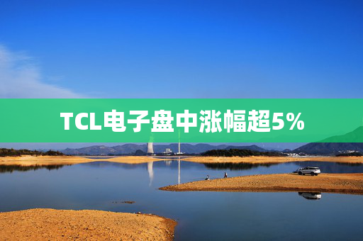 TCL电子盘中涨幅超5%