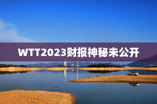 WTT2023财报神秘未公开