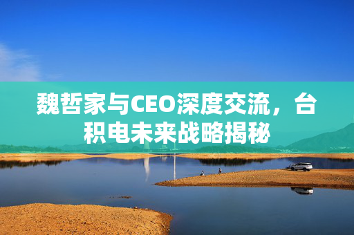 魏哲家与CEO深度交流，台积电未来战略揭秘