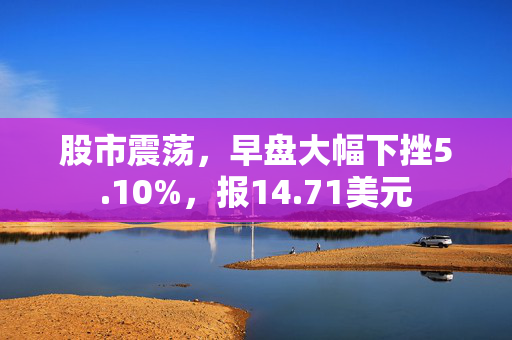 股市震荡，早盘大幅下挫5.10%，报14.71美元