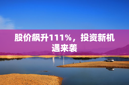 股价飙升111%，投资新机遇来袭