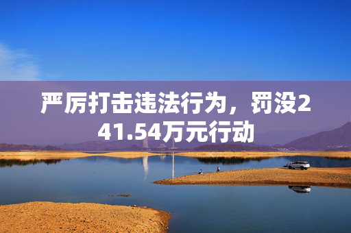 严厉打击违法行为，罚没241.54万元行动