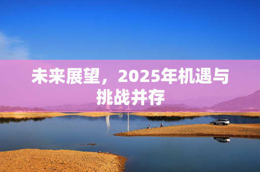 未来展望，2025年机遇与挑战并存