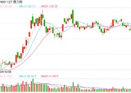 赛力斯： 有人编造问界的不实信息，已报案！